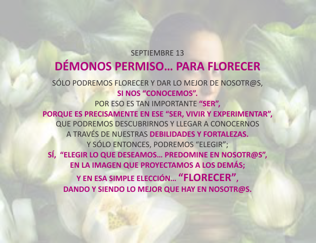 Démonos permiso... para 